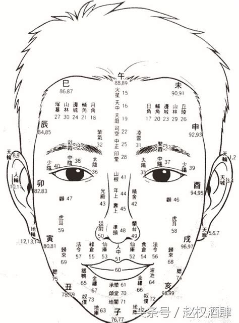 面相年齡圖|【面相年齡圖】暢視你的晚年：歲月在面相上的謎團，。